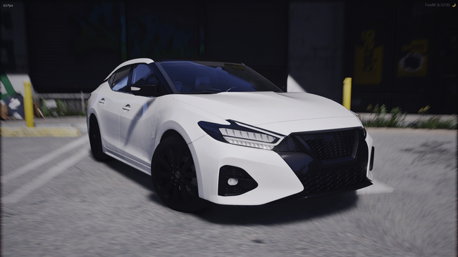 Annis Maxima